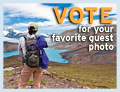 Guest Photo Voting contest